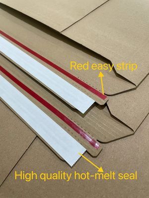 Ökofreundlich, recycelbar, kundenspezifisch angefertigte Walzpapier-Buchmailer für Geschäfte