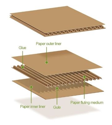 Lieferverpackung Starr, flache, gewölbte Buchpostmaschinen Umschlag für individuelle Logistik