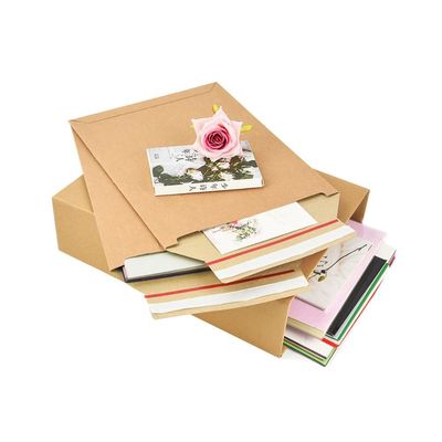 Akzeptiert Druck Braun Kraft Board Starr Mailer für kundenspezifische Markenverpackungen